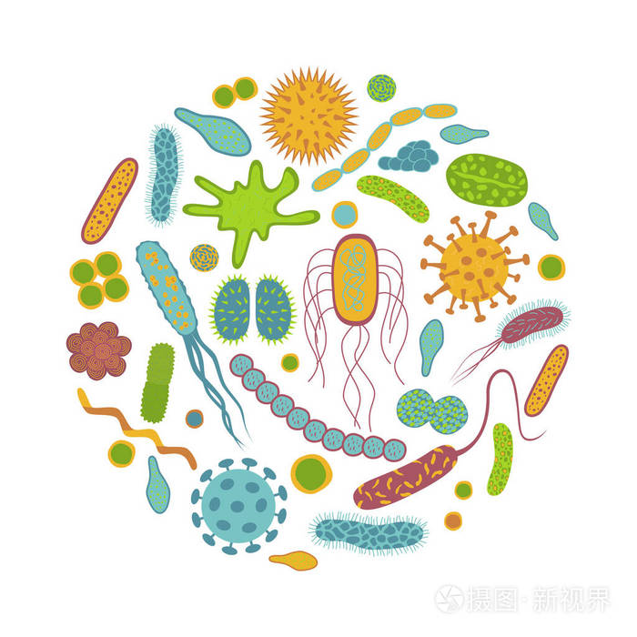 白色背景上的微生物王國(guó) 細(xì)菌與微生物圖標(biāo)的視覺分離與科學(xué)啟示